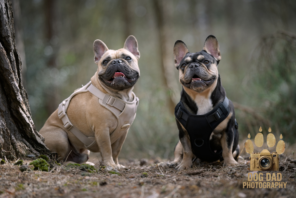 Busta & Bella